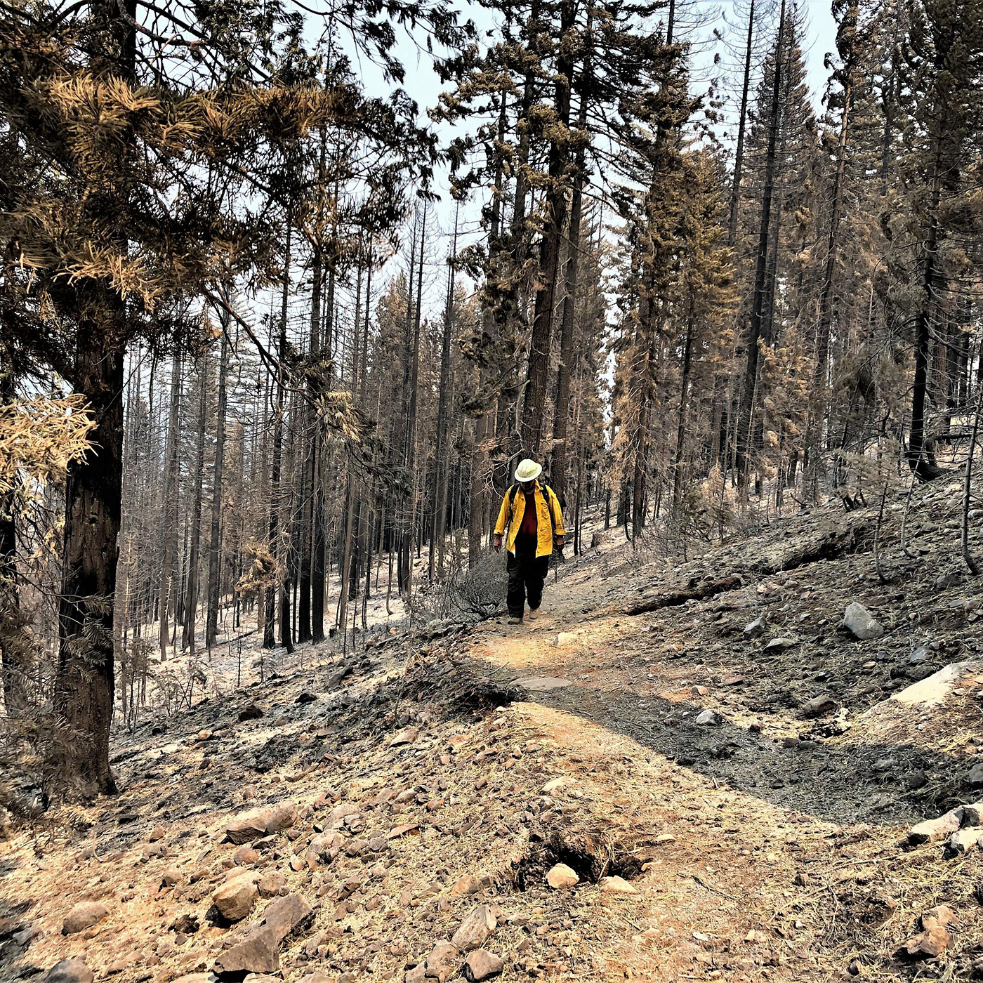 Assessing the response and condition of the watersheds along the Pacific Crest Trail in the Dixie Fire