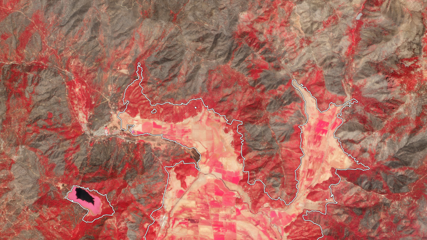 Dixie Fire burn scar vegetation health