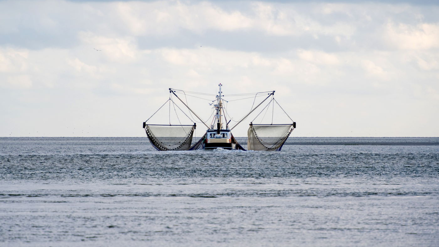 Fishing boat with illegal fishing nets